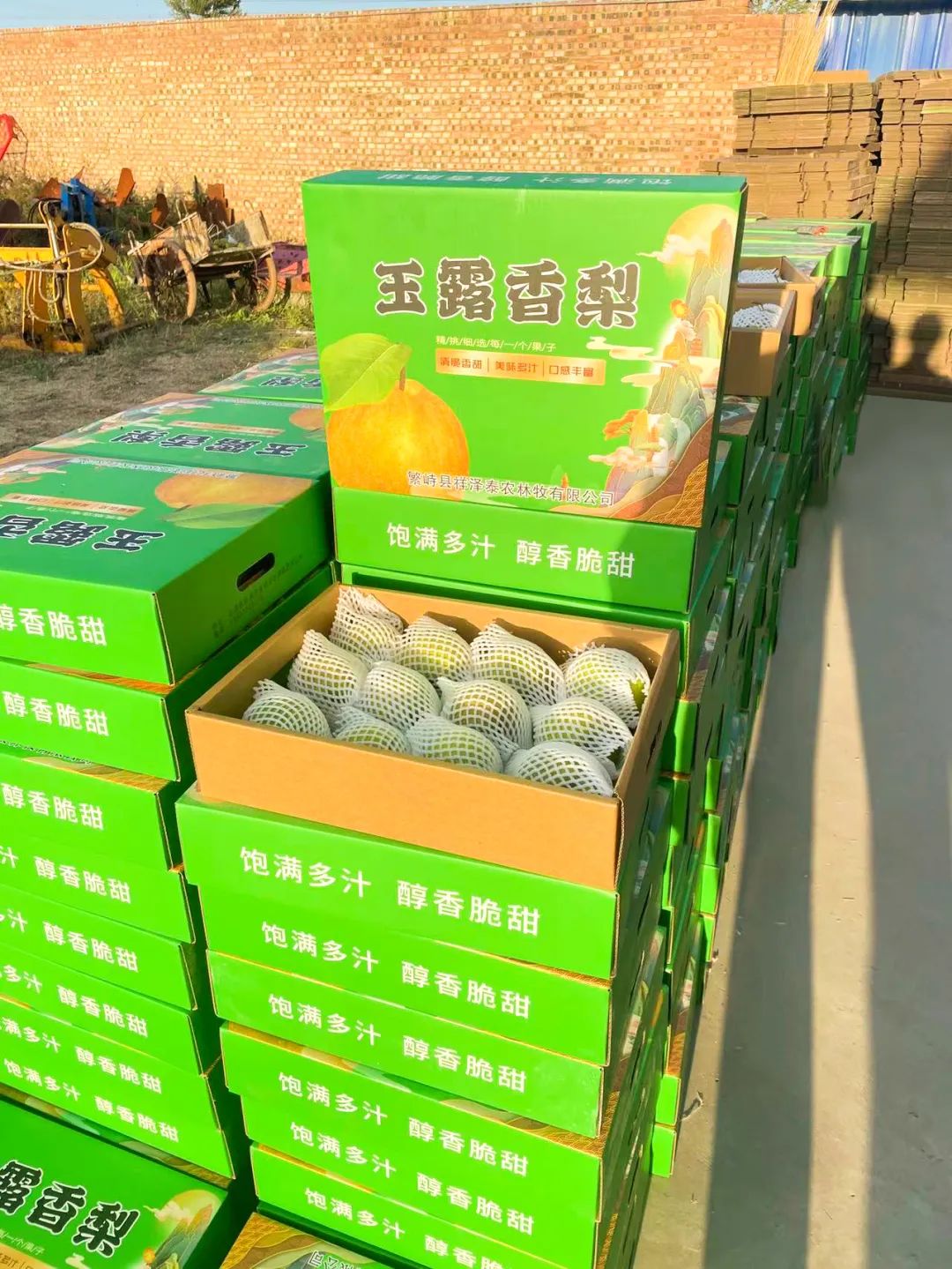 幫扶2.jpg 幫扶2.jpg